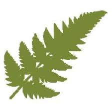 Fernbrook Family Center (Lighthouse) Cambridge