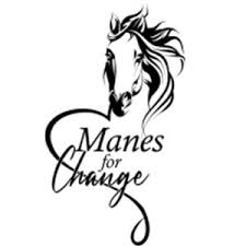 Manes for Change LLC Manes for Change LLC