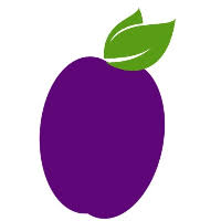 Plum Behavioral Health Services Plum Behavioral Health Services